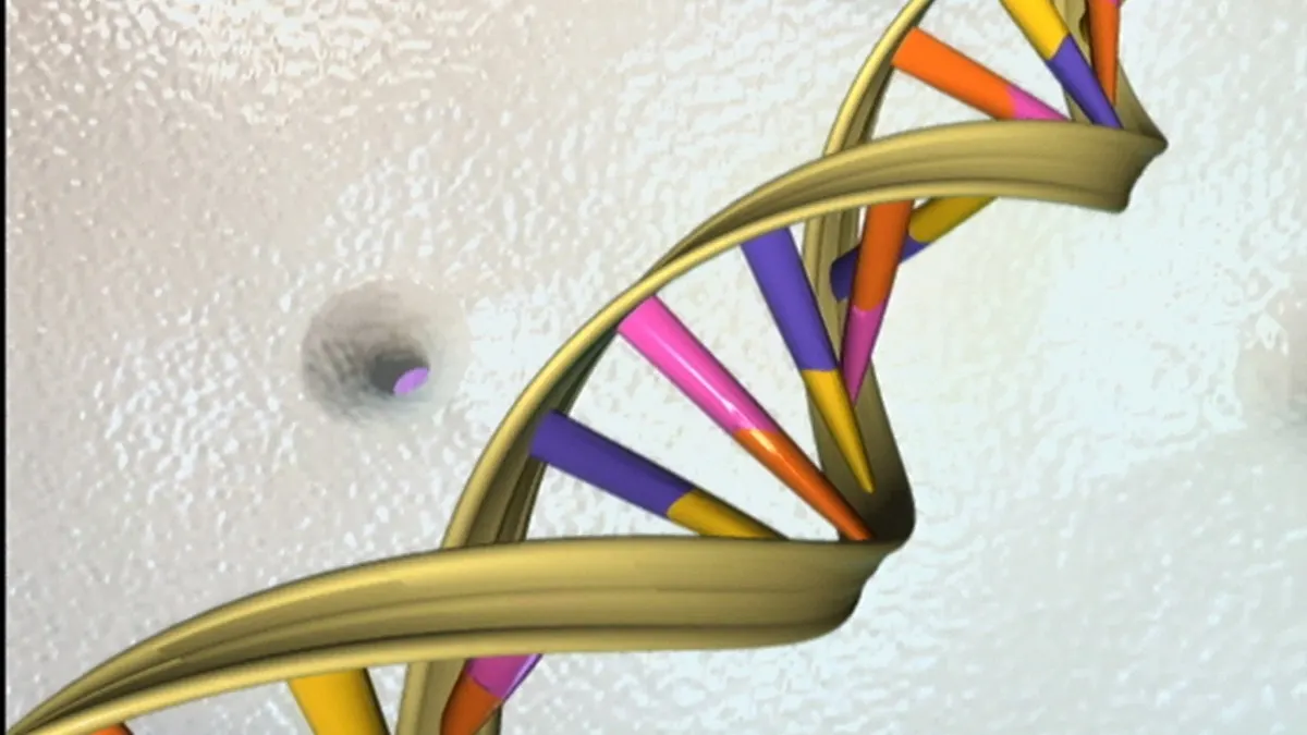 Illustration of a DNA double helix with coloured base pairs against a pale textured background
